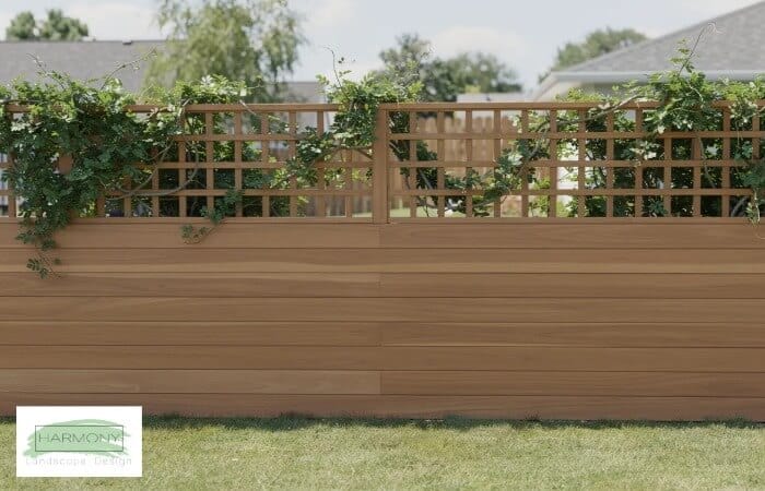 Modern Cedar Fence with Lattice Top and Climbing Plants for Privacy