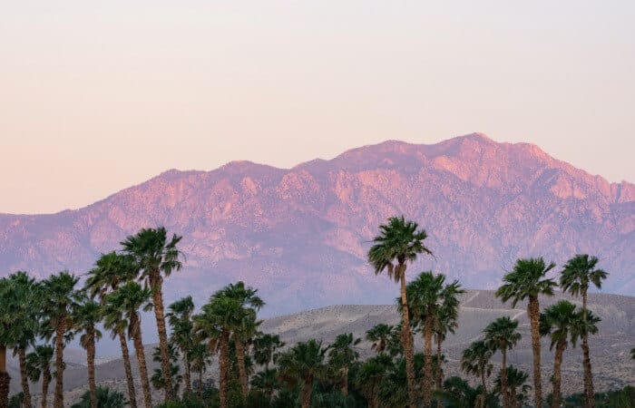 Landscape Design Palm Desert