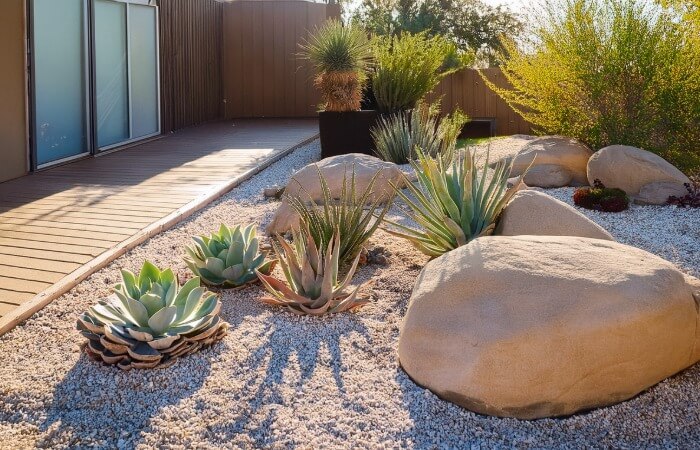 Modern Desert Landscape Design