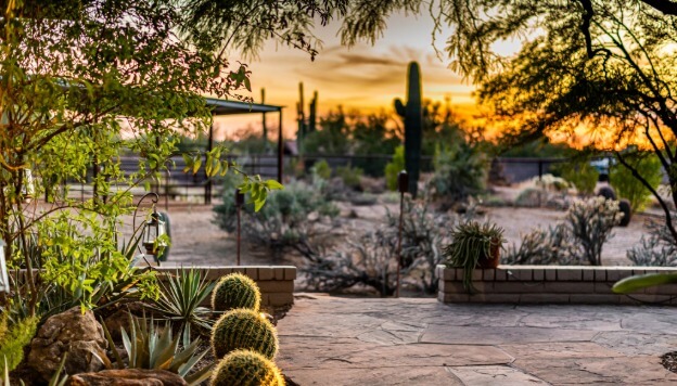 Landscape Design Services in Arizona