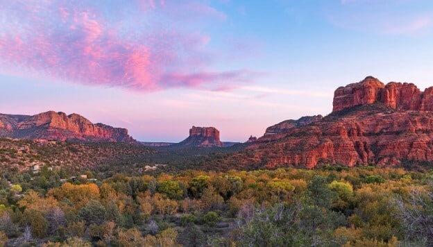 Landscape Design Services in Arizona